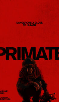 Primate