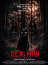 Kucing Hitam