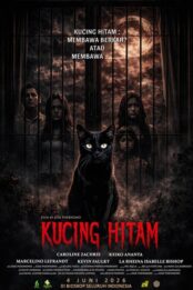 Kucing Hitam